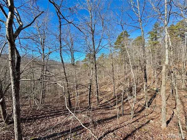$100,000 | 0 40.4 Acres County Road 5650, Bunker, MO 63629