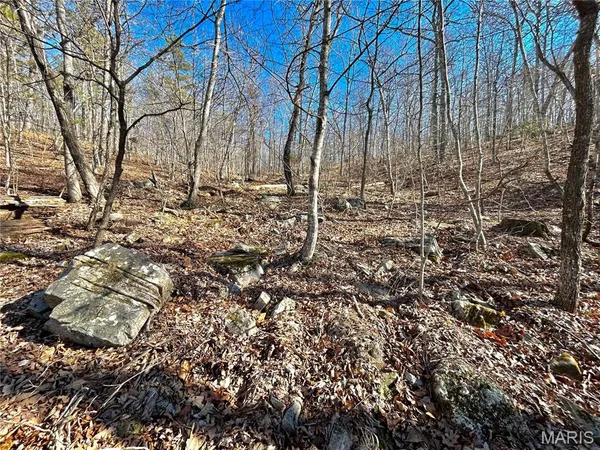 $100,000 | 0 40.4 Acres County Road 5650, Bunker, MO 63629