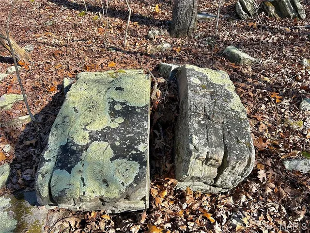 $120,000 | 0 40.4 Acres County Road 5650, Bunker, MO 63629