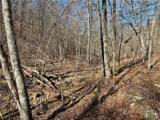$120,000 | 0 40.4 Acres County Road 5650, Bunker, MO 63629