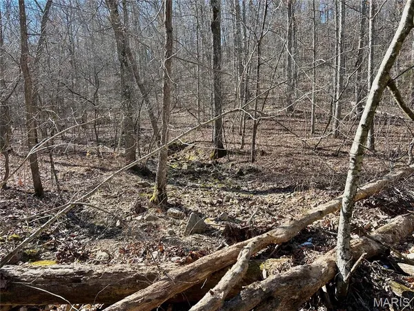 $100,000 | 0 40.4 Acres County Road 5650, Bunker, MO 63629