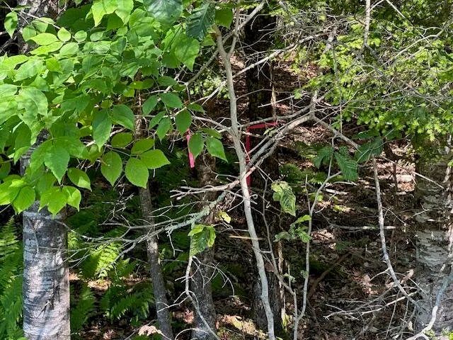 $62,500 | Lot #4 Bonnie Way, Winterport, ME 04496