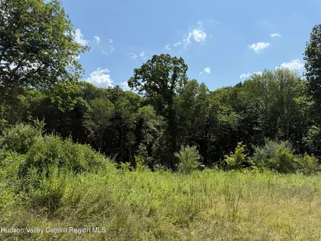 a yellow house with a small yard plants and large trees