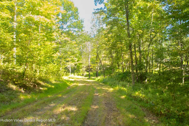 a view of ocean with large trees