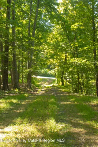 a view of empty field with trees