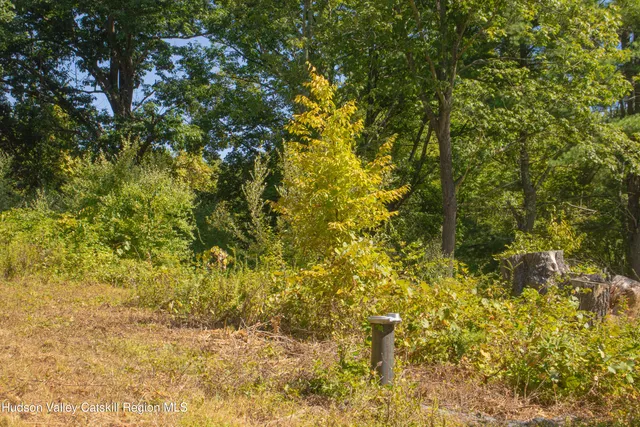 a view of a yard with large trees