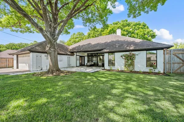 a view of a backyard with a large tree