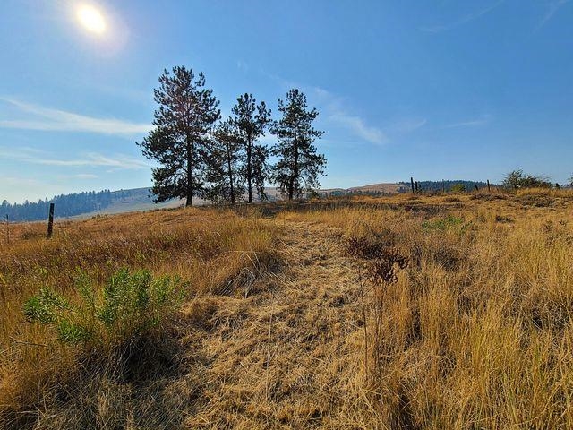 Tbd Williams Lake Road Evans, WA 99126 - Photo 30 of 32