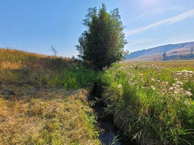 Tbd Williams Lake Road Evans, WA 99126 - Photo 5 of 32