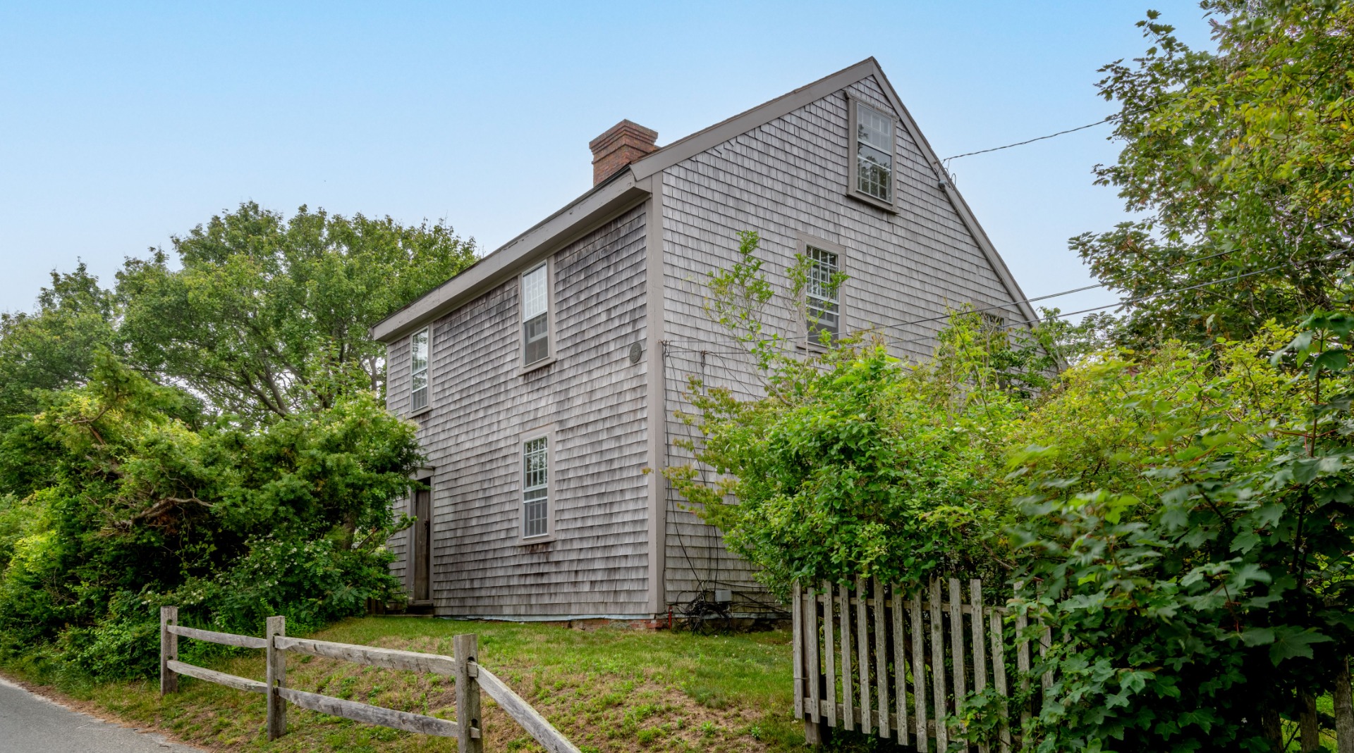 a backyard of a house with plants and tree