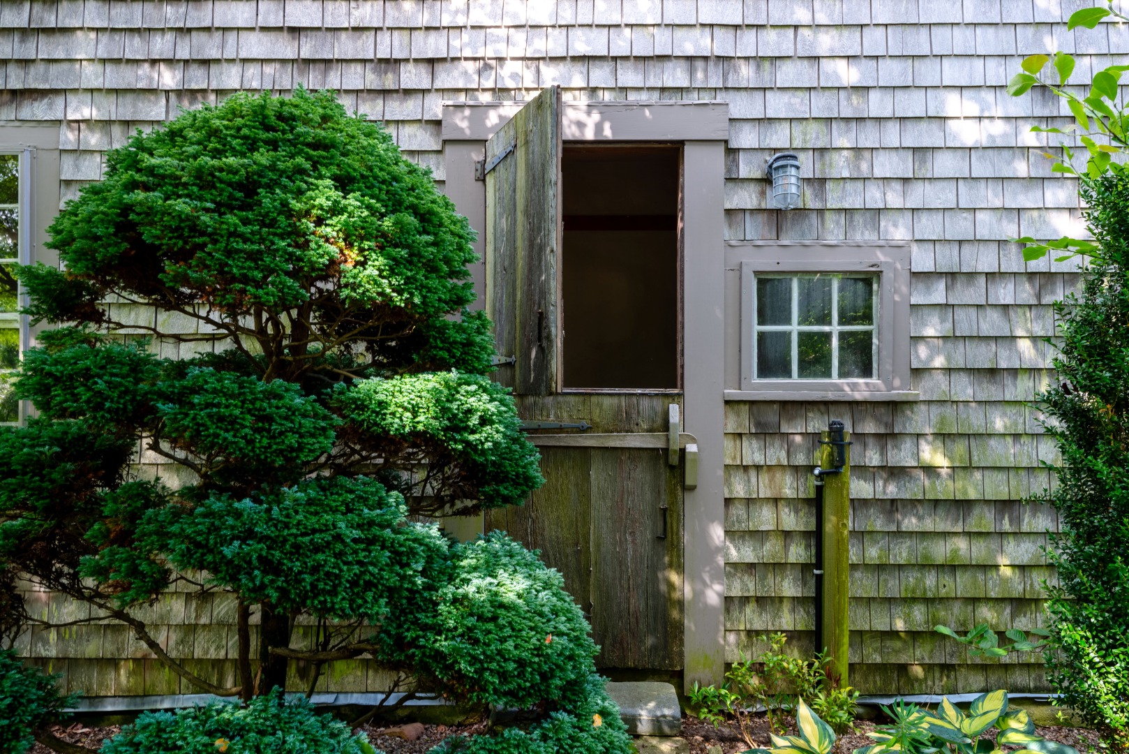 3 Bear Street Nantucket, MA 02554 - Photo 5 of 38 a view of building with large windows and plants