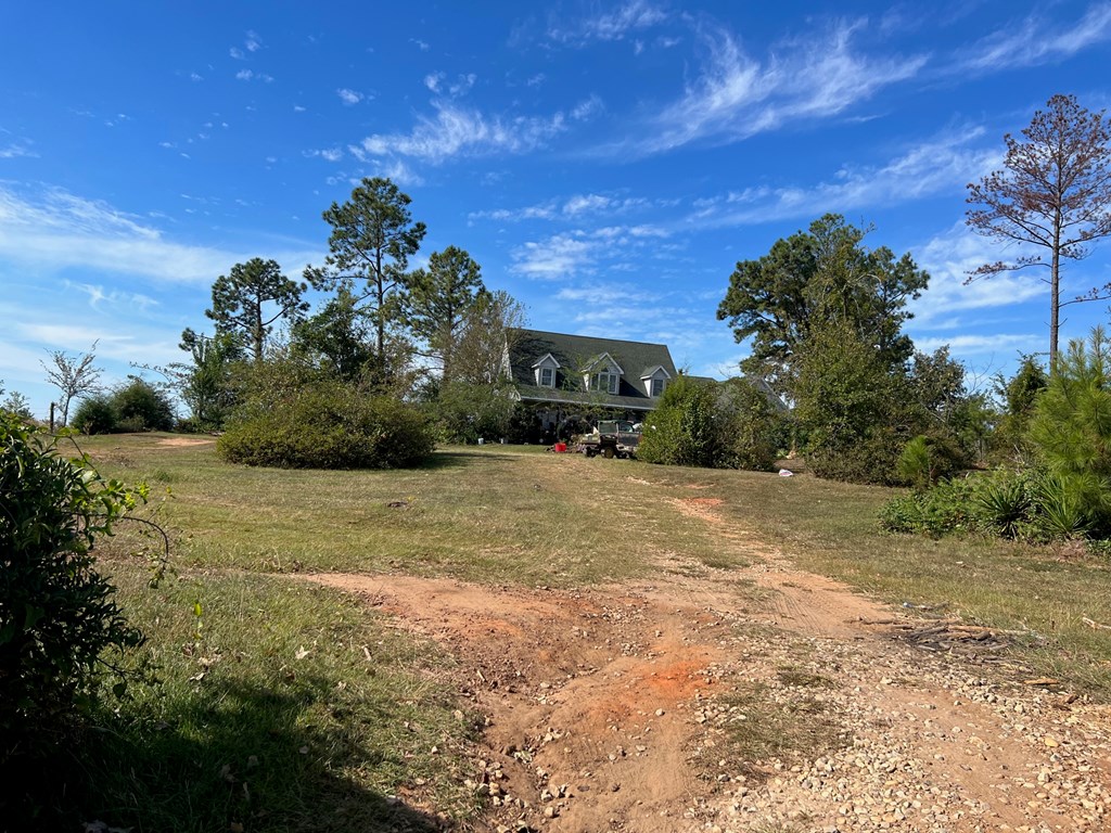 327 Deer Point Road Georgetown, GA 39854 - Photo 2 of 10