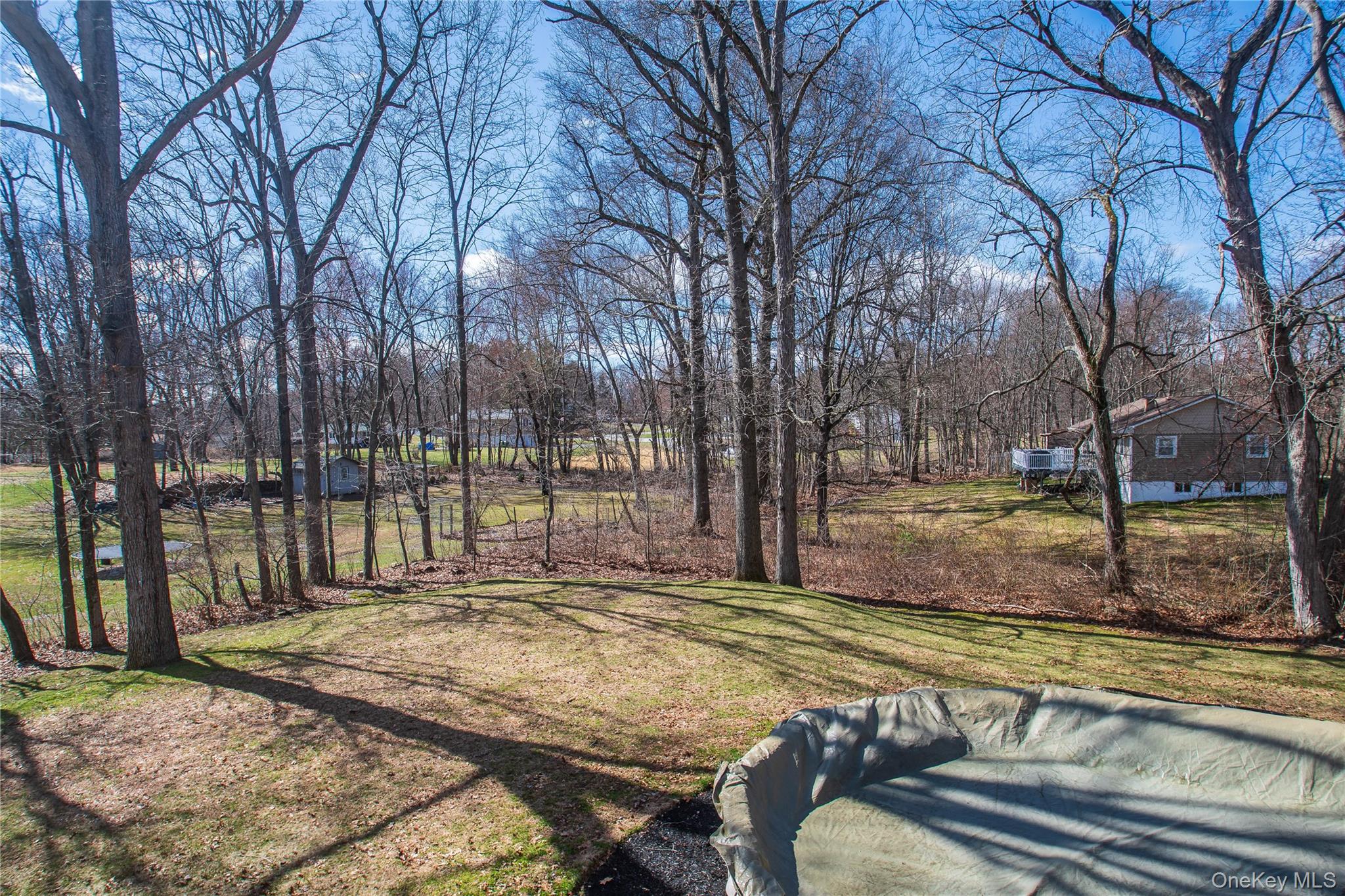 24 Montfort Road Wappingers Falls, NY 12590 - Photo 44 of 45 a view of backyard with tree