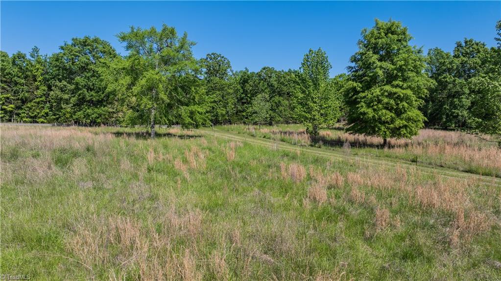 677 Lambert Chapel Road Siler City, NC 27344 - Photo 16 of 49