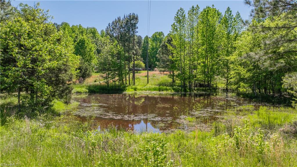 677 Lambert Chapel Road Siler City, NC 27344 - Photo 17 of 49