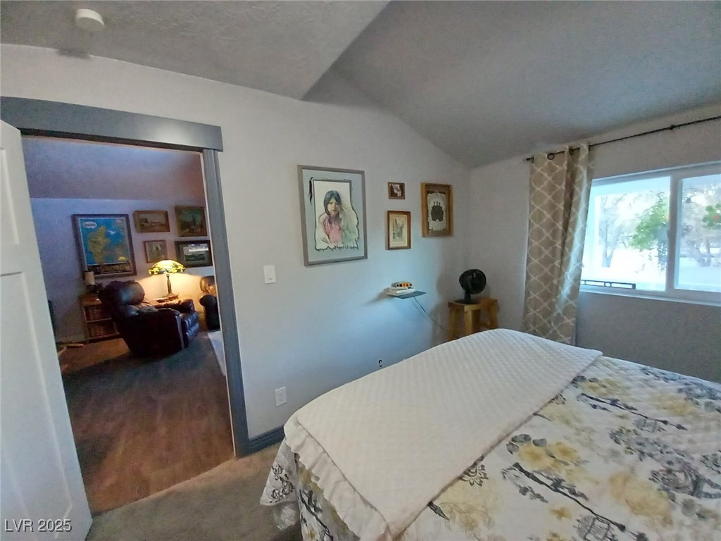 327 High Street Pioche, NV 89043 - Photo 12 of 27 Downstairs Bedroom #2 with lofted ceiling, wood finished floors, and carpet flooring