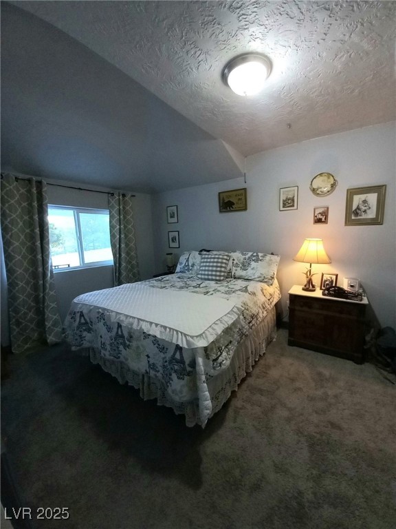 327 High Street Pioche, NV 89043 - Photo 13 of 27 Downstairs carpeted bedroom #3 with a textured ceiling
