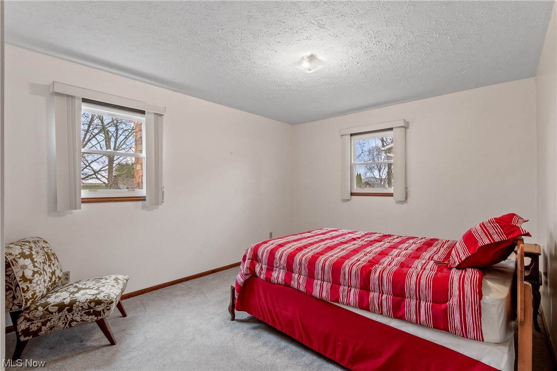 41 Willard Street Rittman, OH 44270 - Photo 11 of 25 Carpeted bedroom featuring multiple windows and a textured ceiling