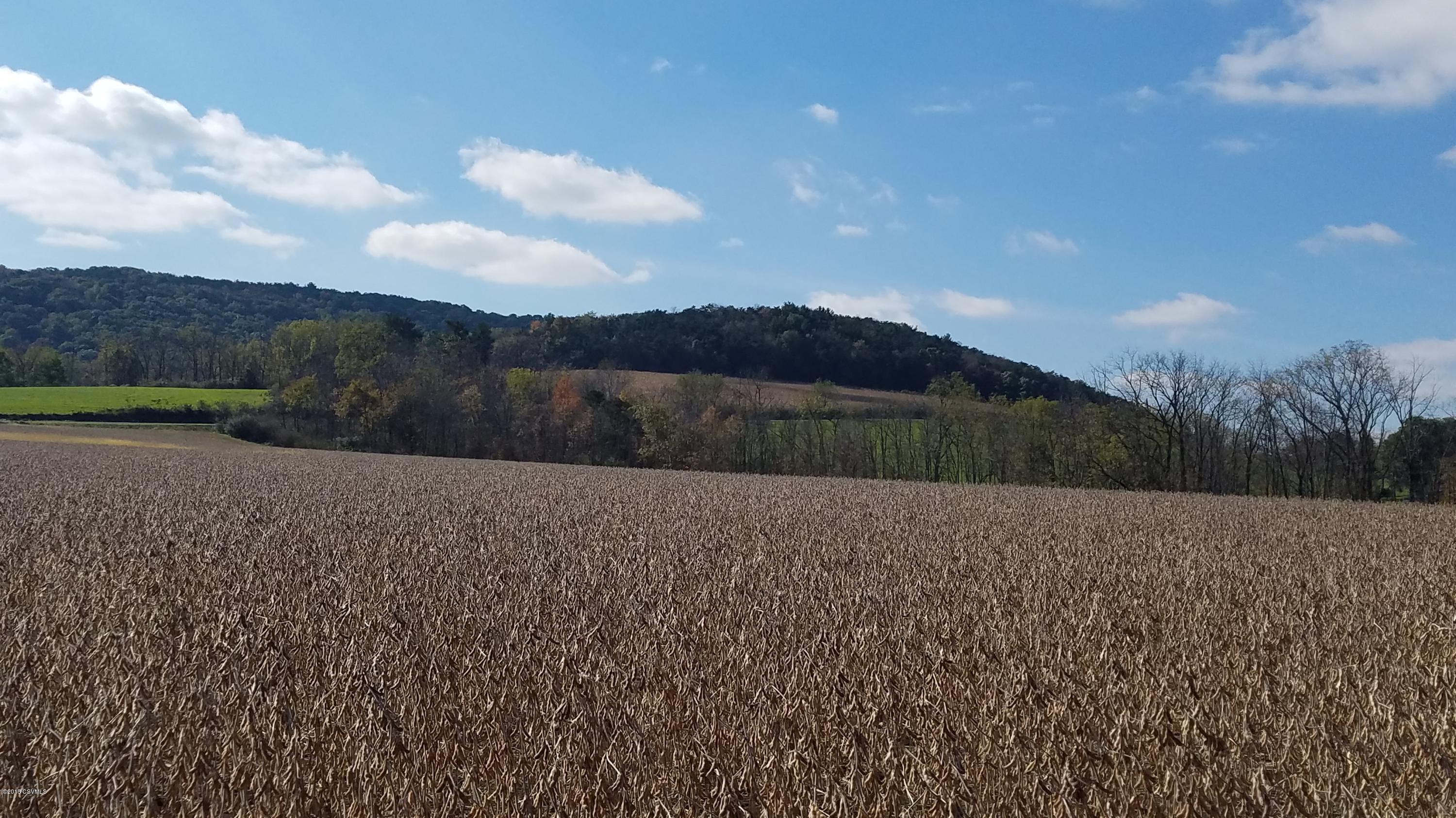 Hosta Road Sunbury, PA 17801 - Photo 10 of 12 Gallery Image 10