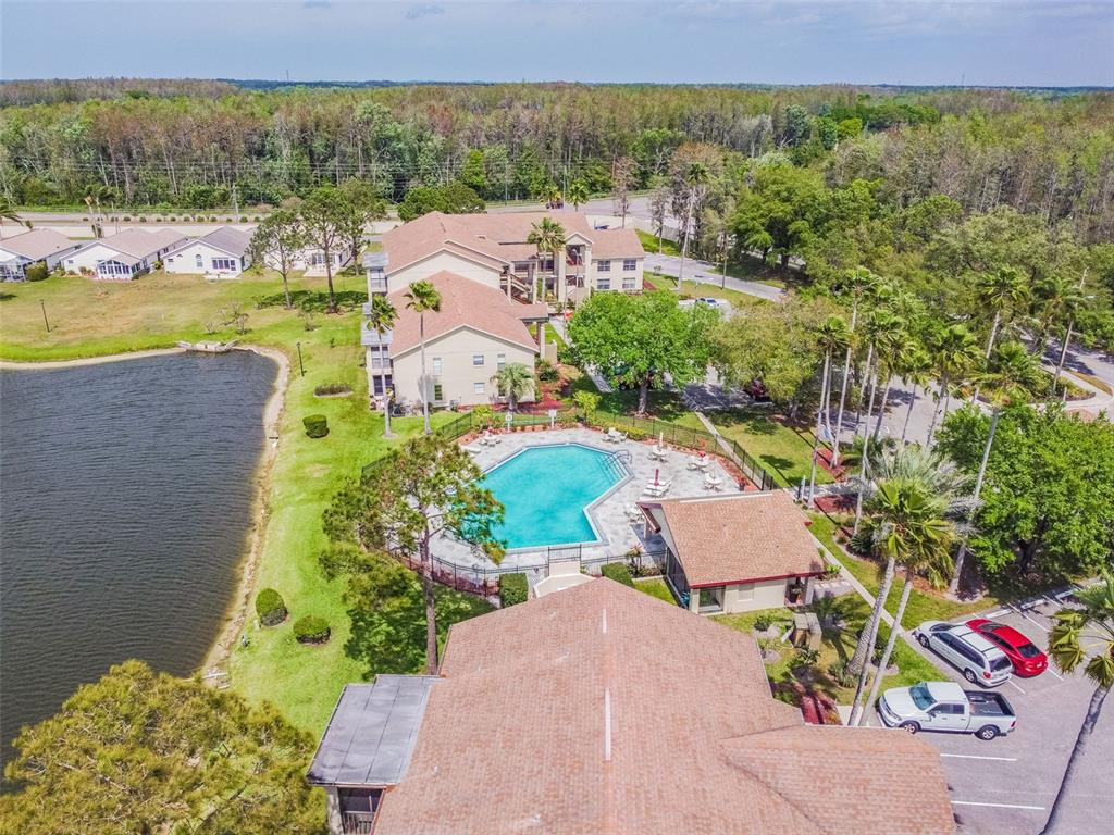 4124 Randolph Street New Port Richey, FL 34653 - Photo 83 of 84 Gallery Image 83