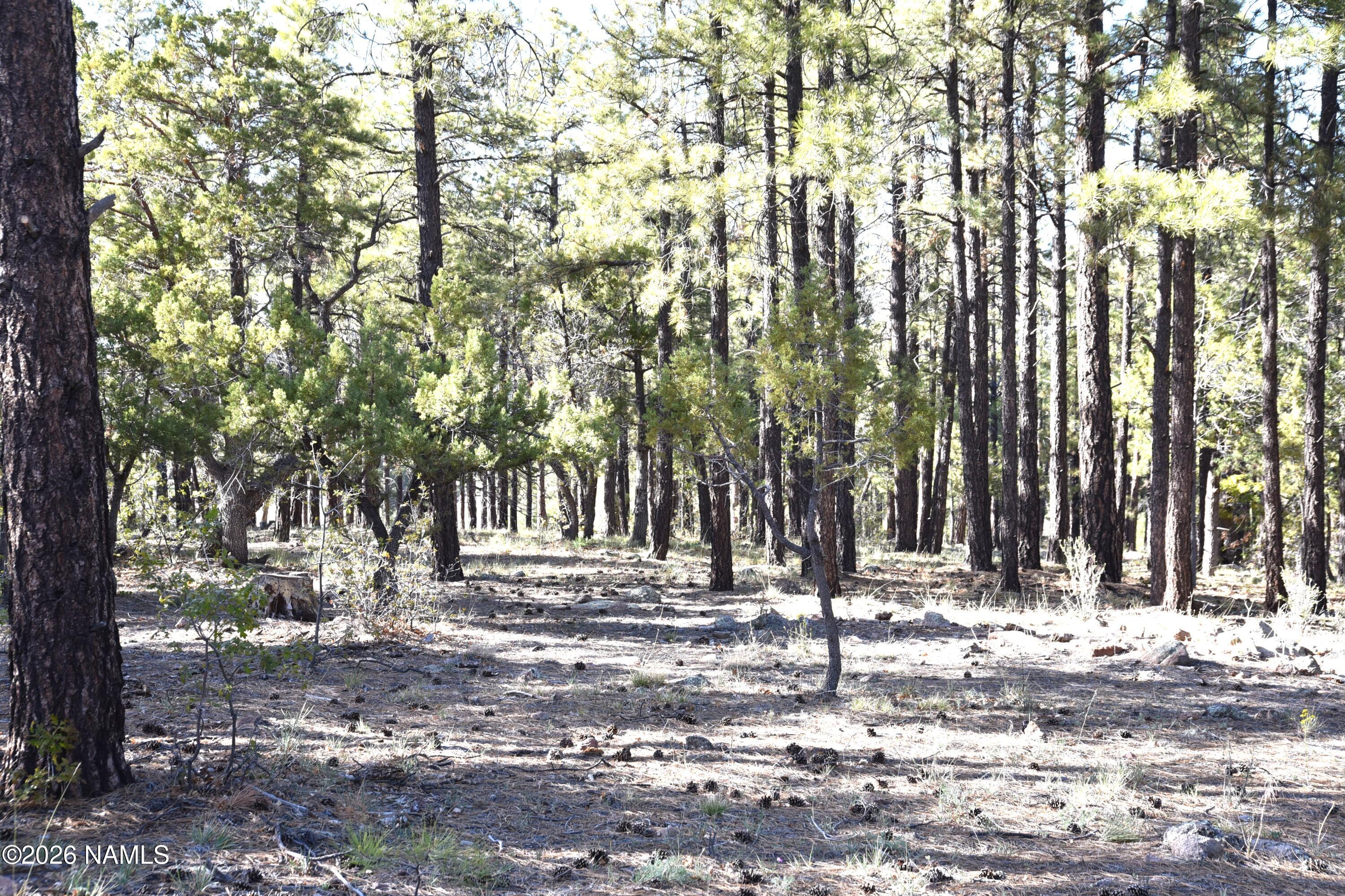1085 Timbernook Crossing Williams, AZ 86046 - Photo 3 of 15 DSC_5187