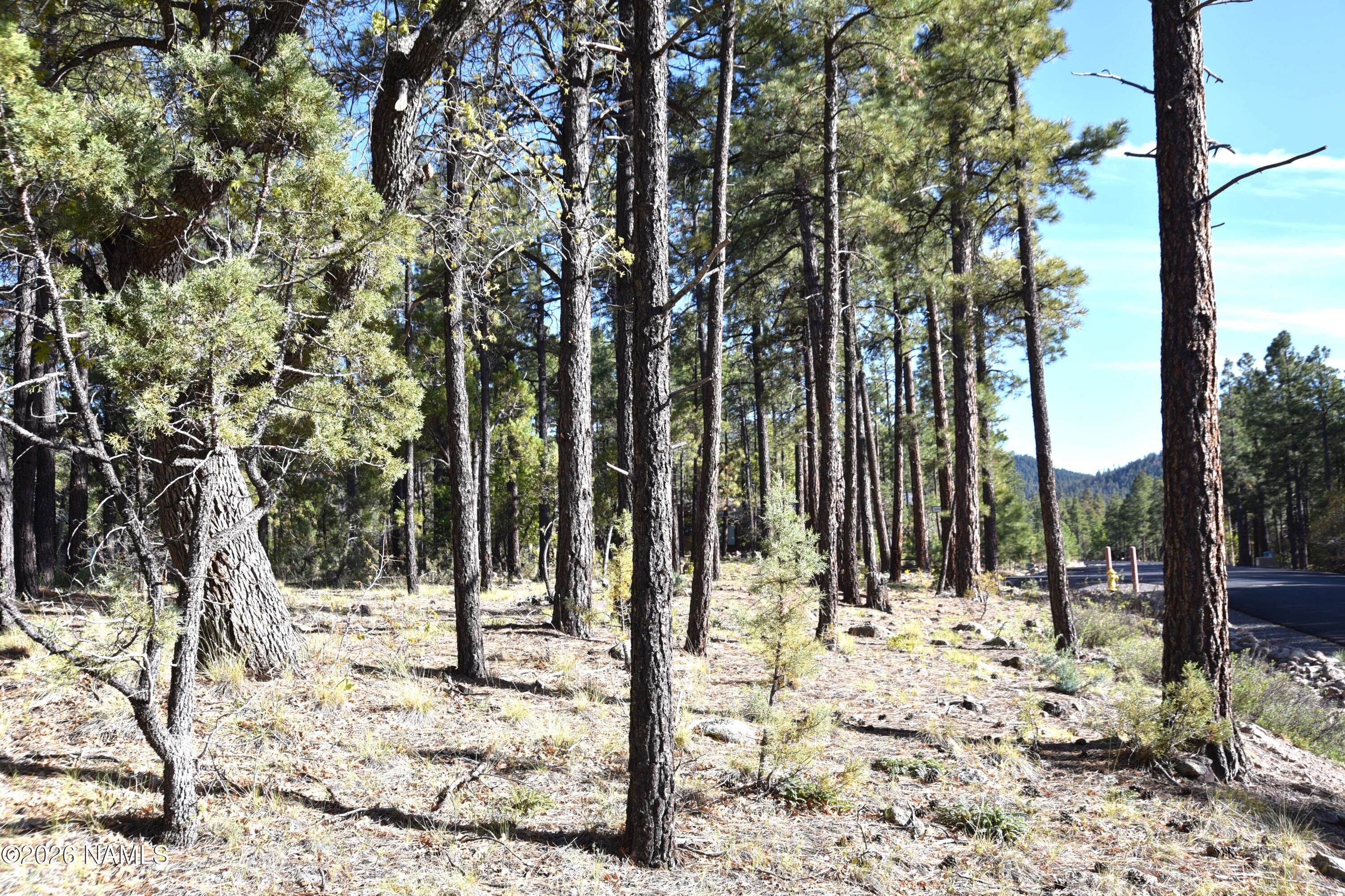 1085 Timbernook Crossing Williams, AZ 86046 - Photo 5 of 15 DSC_5191
