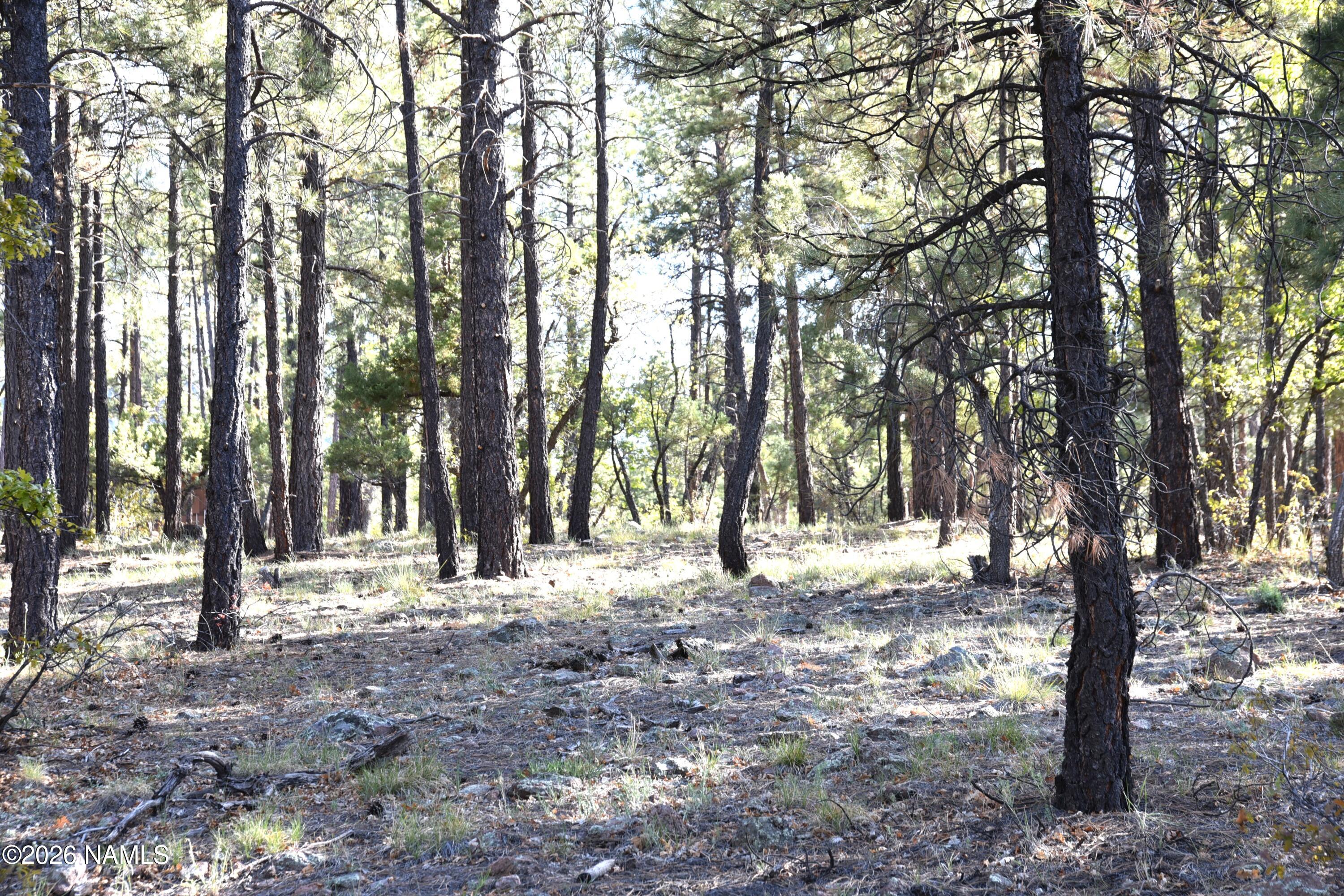 1085 Timbernook Crossing Williams, AZ 86046 - Photo 6 of 15 DSC_5195