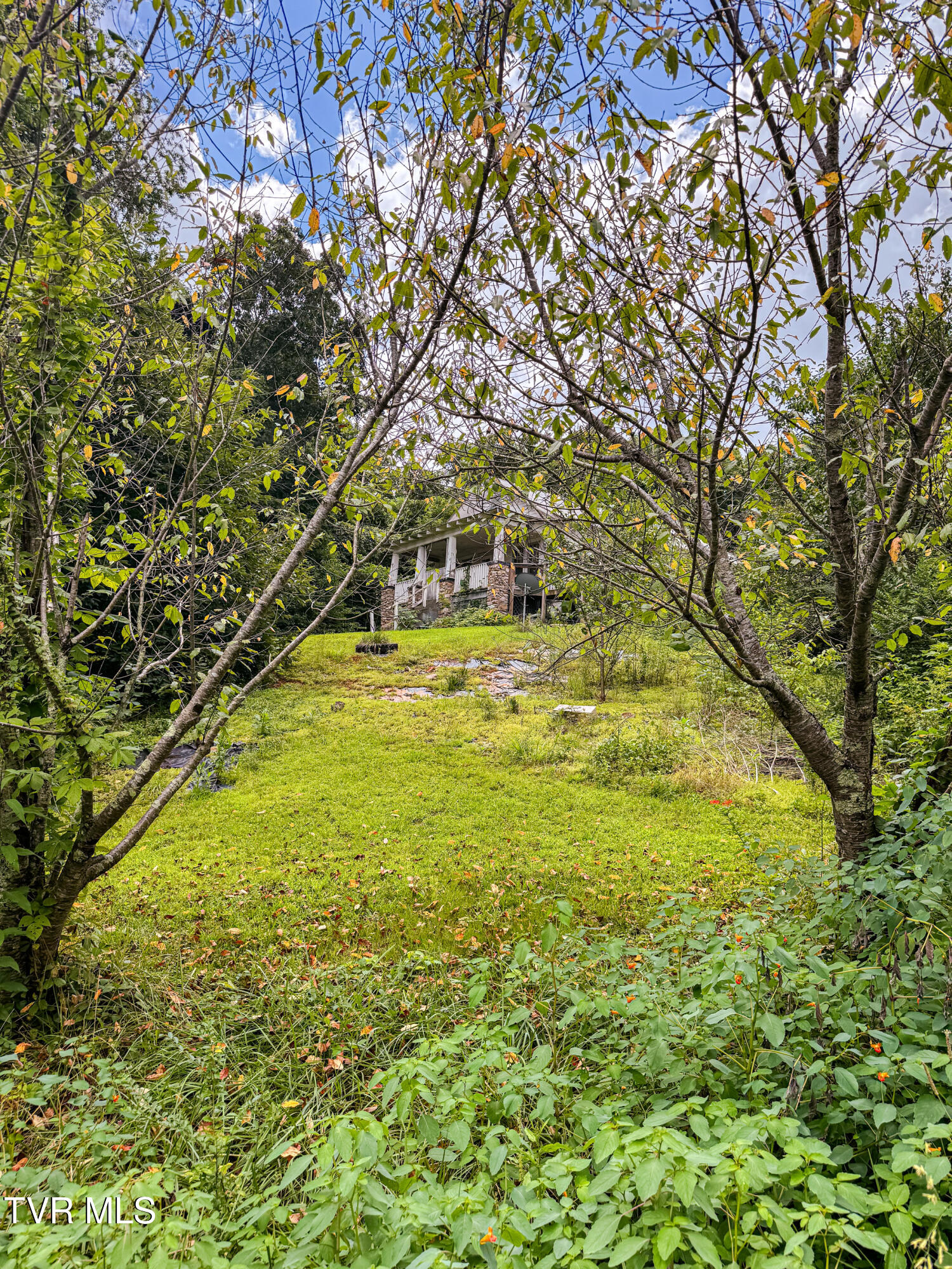 119 Loveless Road Elizabethton, TN 37643 - Photo 28 of 35 Street View