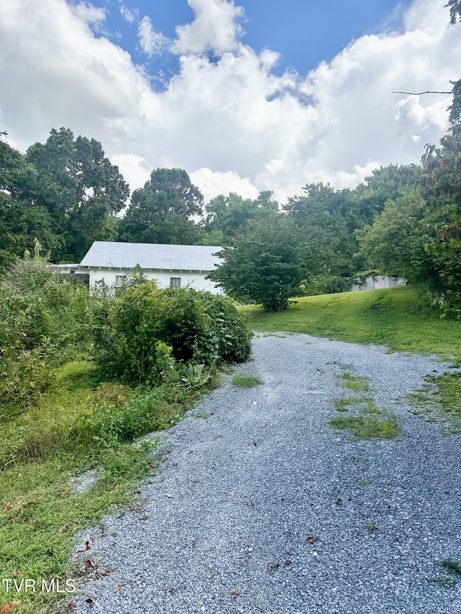 119 Loveless Road Elizabethton, TN 37643 - Photo 29 of 35 driveway view