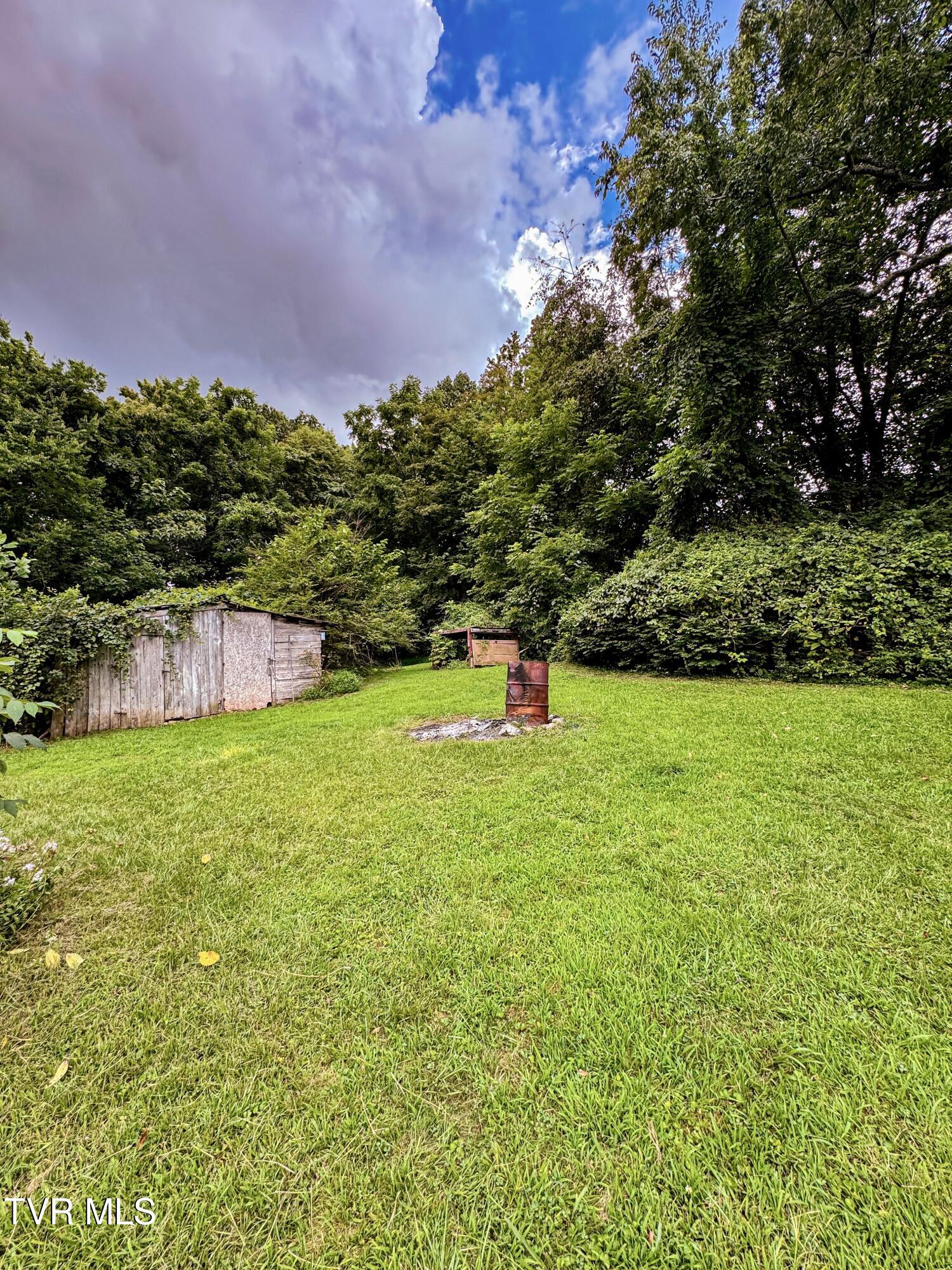 119 Loveless Road Elizabethton, TN 37643 - Photo 30 of 35 yard view