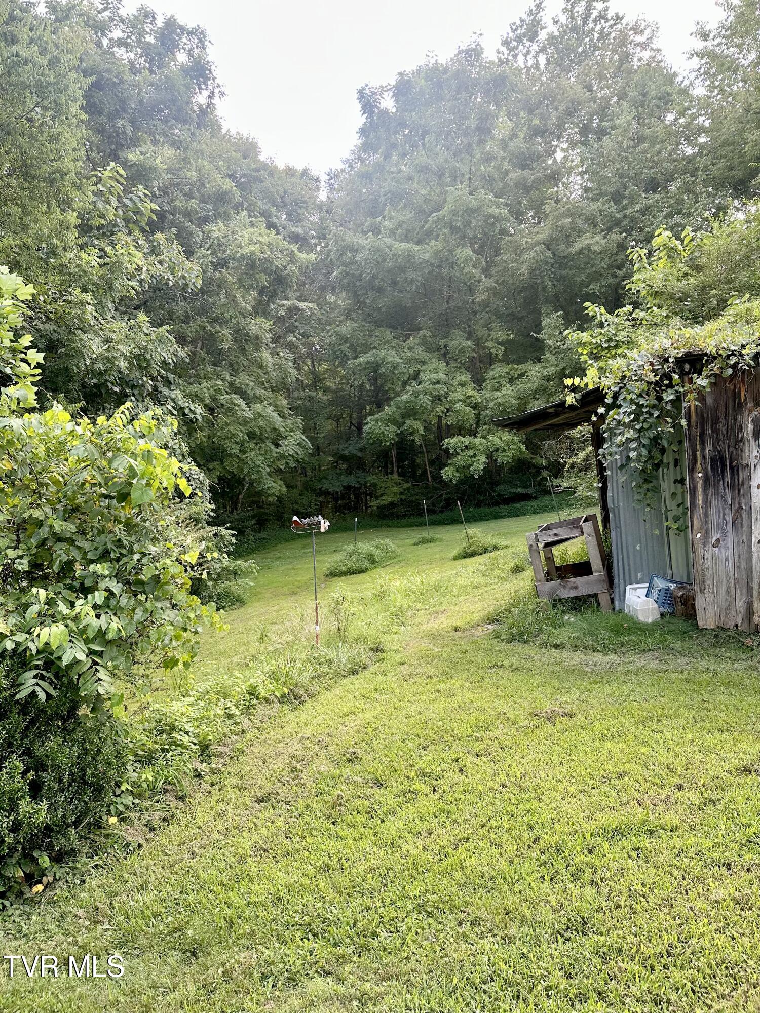 119 Loveless Road Elizabethton, TN 37643 - Photo 33 of 35 IMG_4321