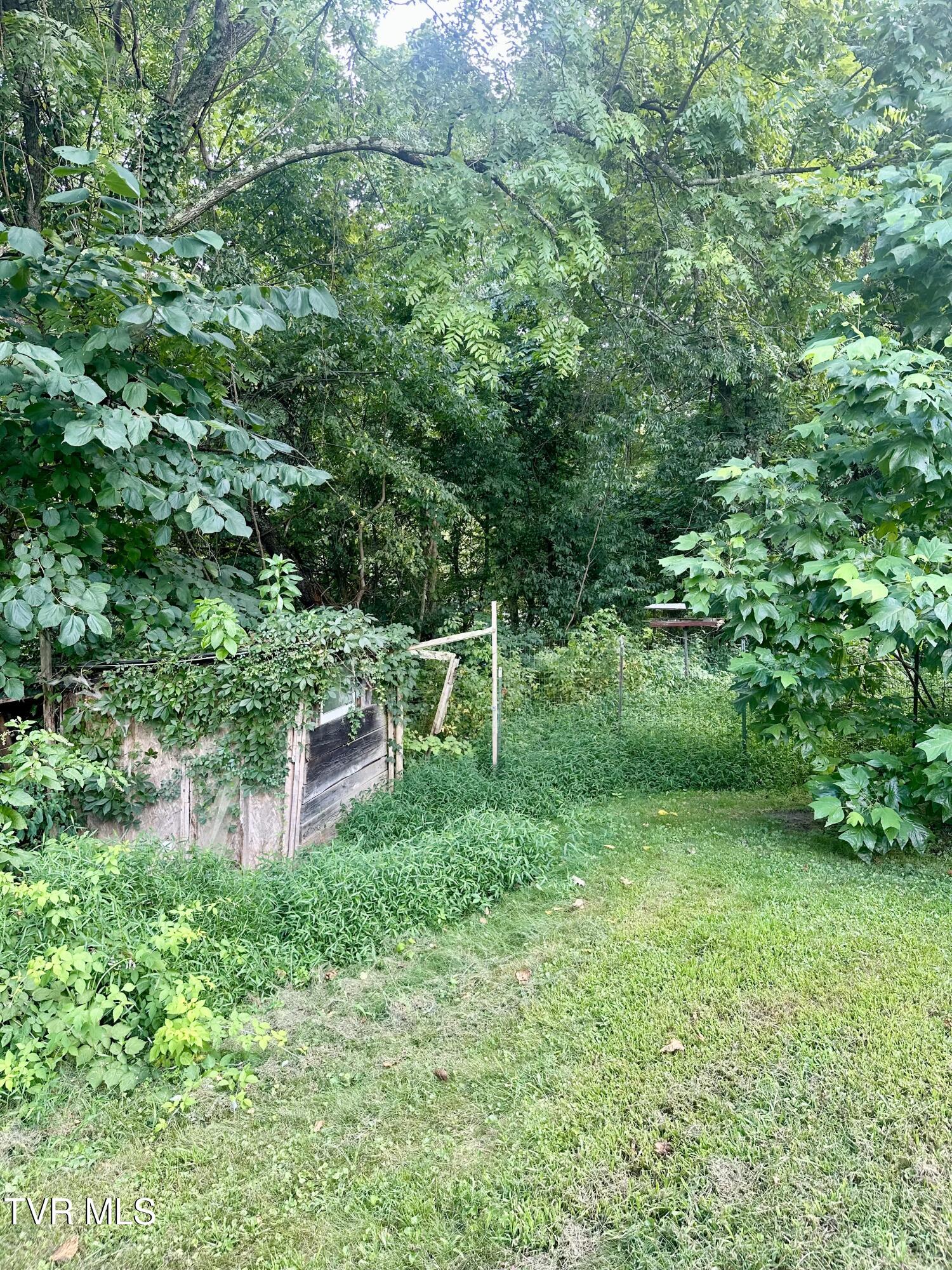 119 Loveless Road Elizabethton, TN 37643 - Photo 34 of 35 IMG_4322