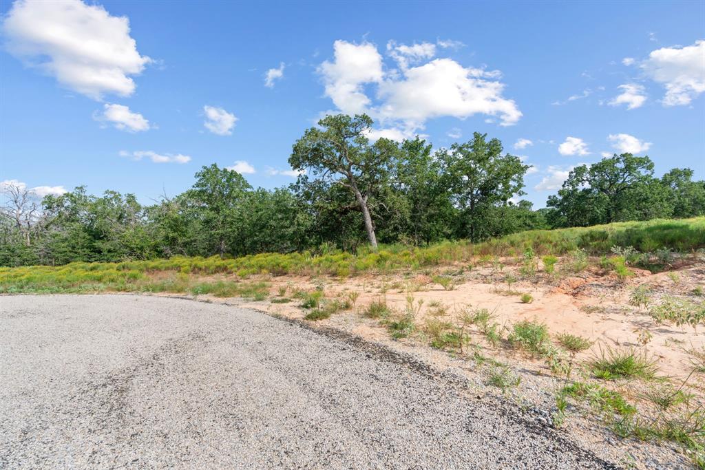 Lot 32 Galway Road Poolville, TX 76487 - Photo 11 of 18