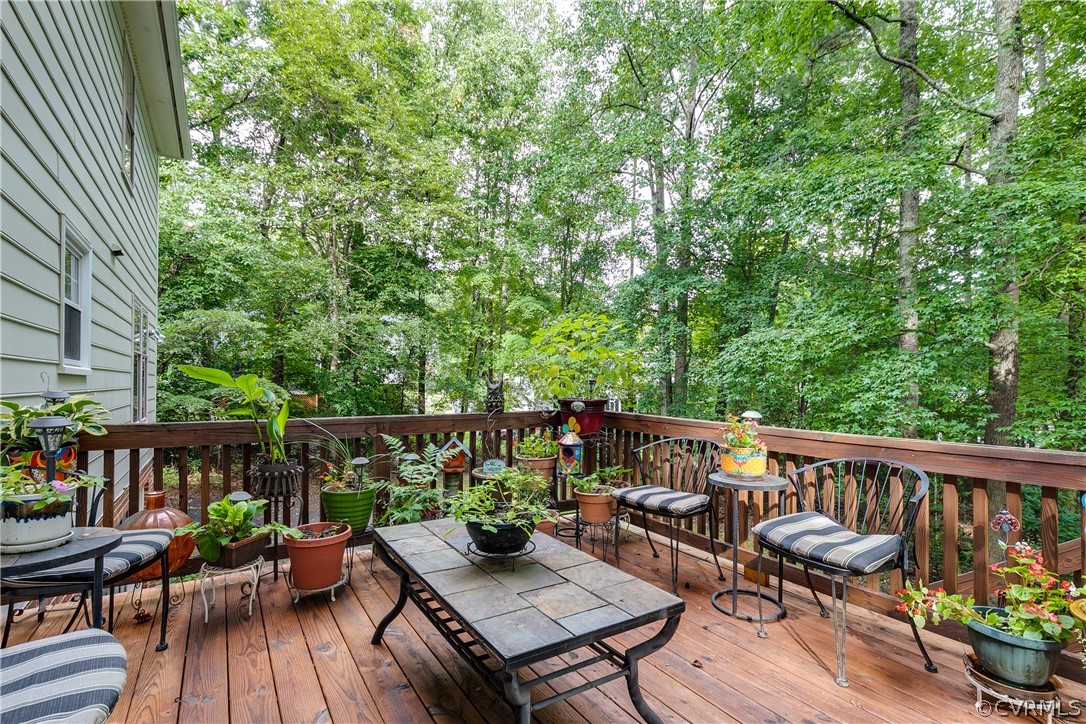 5607 North Chase Road Midlothian, VA 23112 - Photo 36 of 48