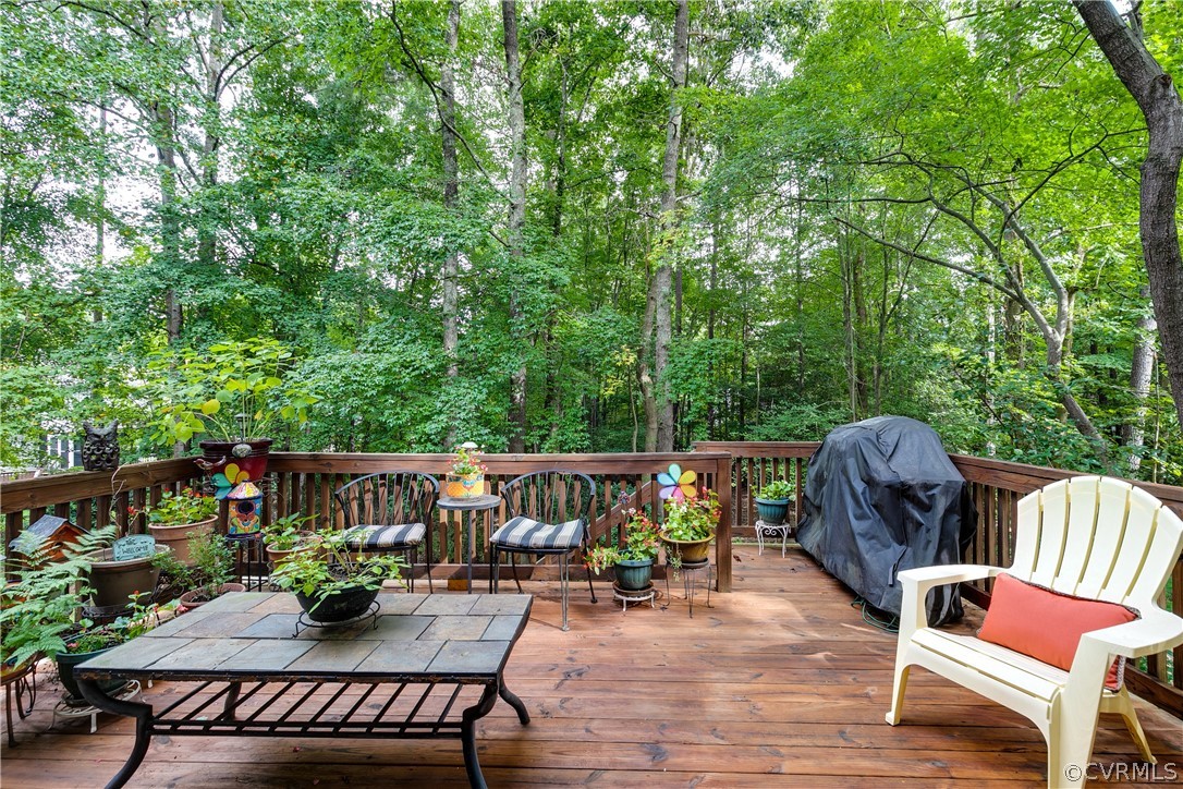 5607 North Chase Road Midlothian, VA 23112 - Photo 37 of 48