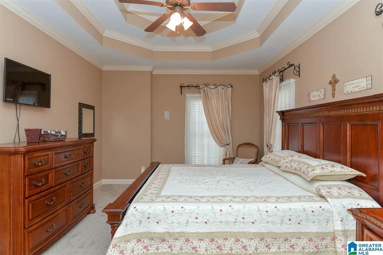 22530 Iron Masters Loop McCalla, AL 35111 - Photo 29 of 50