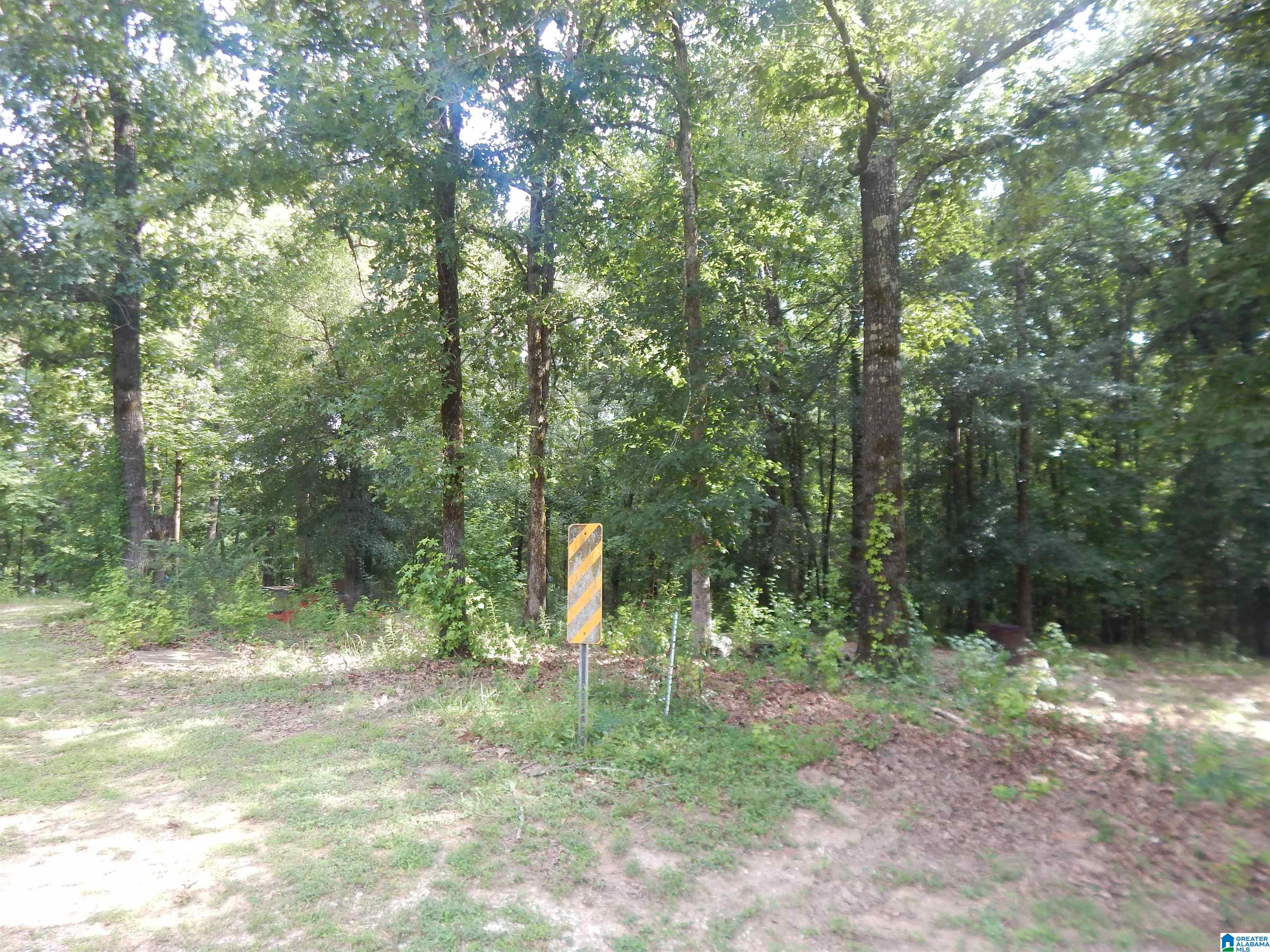 474 Caffee Creek Road Woodstock, AL 35188 - Photo 18 of 21