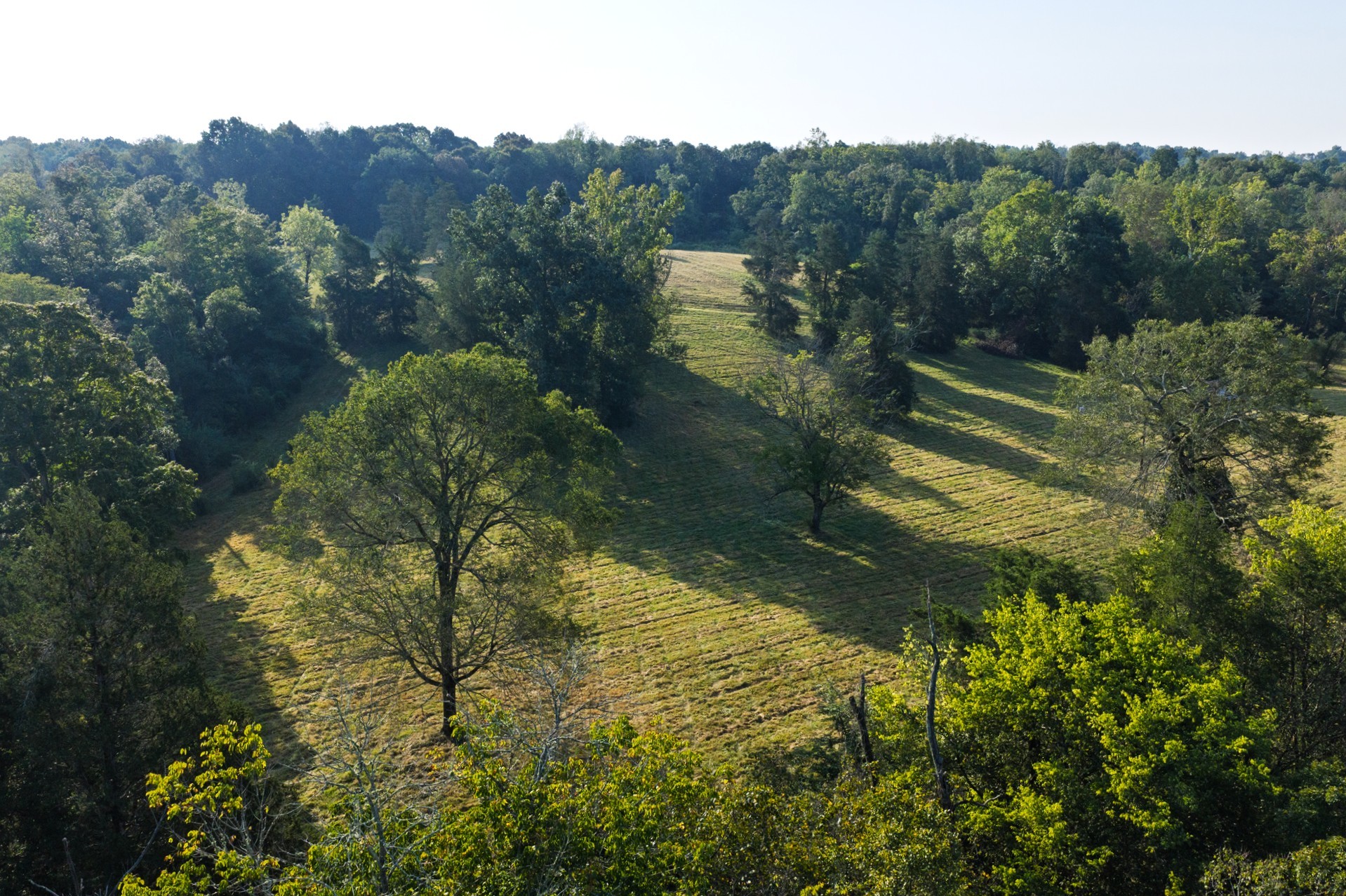 110 Wade Reed Road White Bluff, TN 37187 - Photo 85 of 94 Gallery Image 85