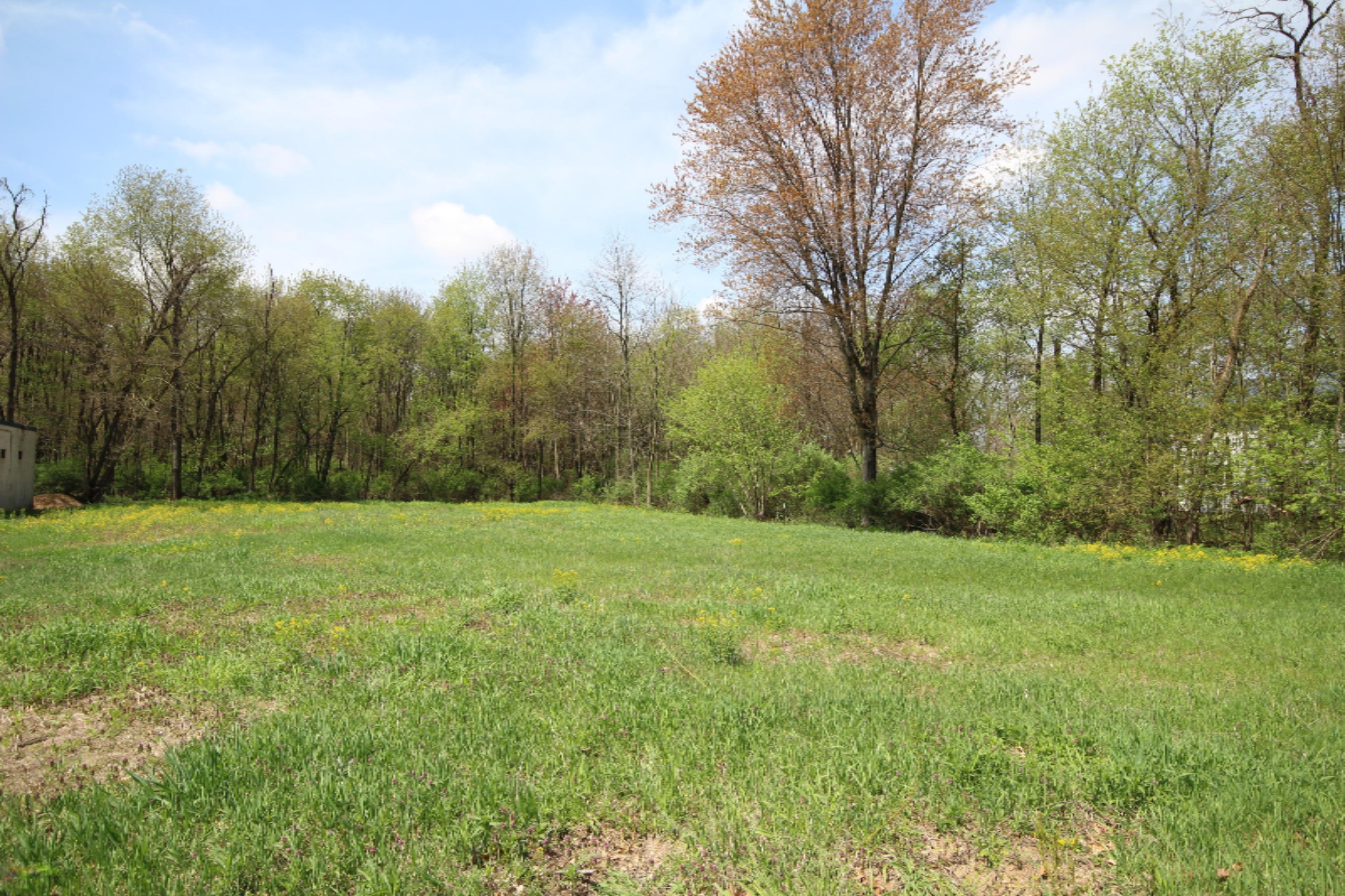 10304 Portage Road Portage, MI 49002 - Photo 1 of 1 10304 Portage Rd.