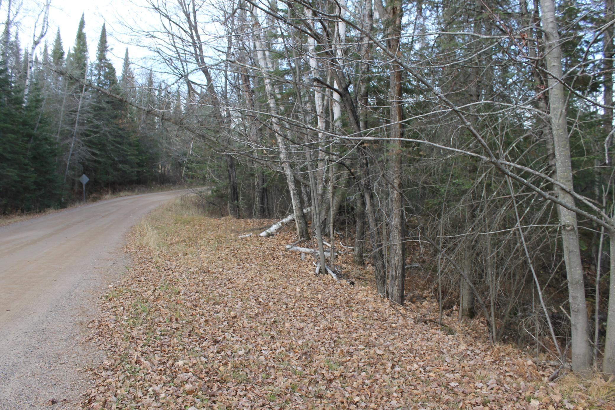 Tbd Billings Road Hibbing, MN 55746 - Photo 1 of 1 Gallery Image 1