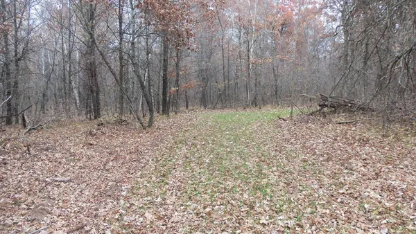 $59,900 | Lot 4 East River Road, Grantsburg, WI 54840