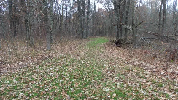 $59,900 | Lot 4 East River Road, Grantsburg, WI 54840