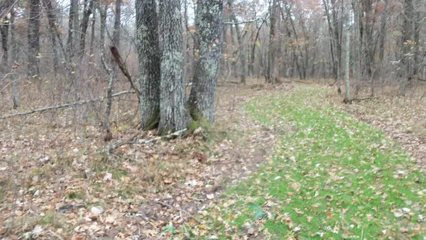 $59,900 | Lot 4 East River Road, Grantsburg, WI 54840