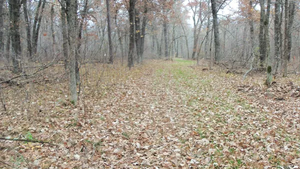 $59,900 | Lot 4 East River Road, Grantsburg, WI 54840