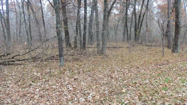 $59,900 | Lot 4 East River Road, Grantsburg, WI 54840