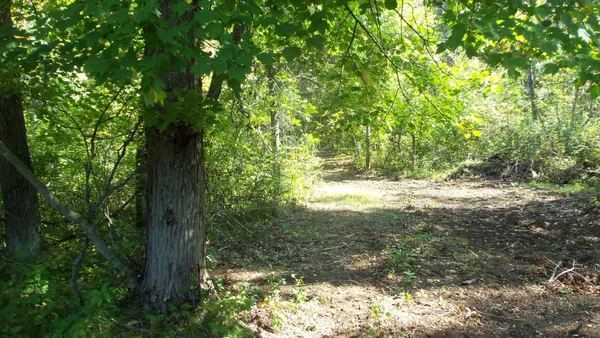$59,900 | Lot 4 East River Road, Grantsburg, WI 54840