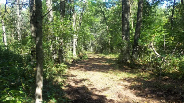 $59,900 | Lot 4 East River Road, Grantsburg, WI 54840