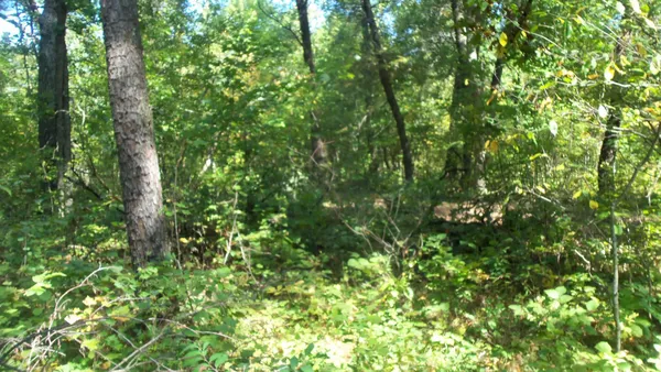 $59,900 | Lot 4 East River Road, Grantsburg, WI 54840