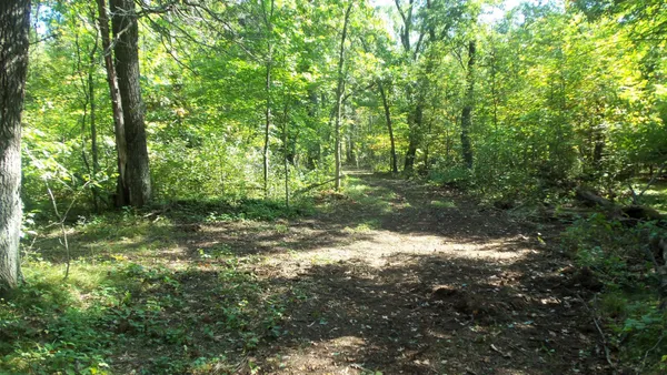 $59,900 | Lot 4 East River Road, Grantsburg, WI 54840