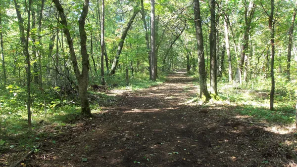 $59,900 | Lot 4 East River Road, Grantsburg, WI 54840